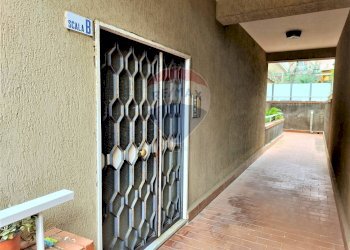 Terrazza - Quadrilocale VIA MARIANI
 
44, Catania - foto 15