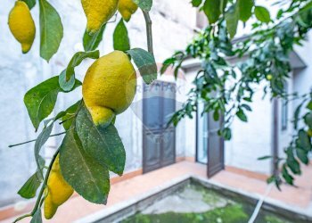 Dettagli - Negozio via circumvallazione
 
503, Paterno - foto 21