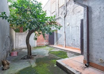 Giardino - Negozio via circumvallazione
 
503, Paterno - foto 22