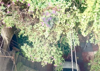 Giardino - Casa indipendente Via Ciro Menotti
 
4, Francavilla di Sicilia - foto 36