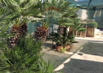 Giardino - Villa via baia dorica
 
23, Vittoria - foto 33