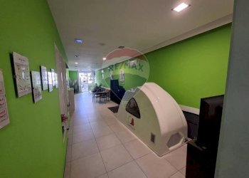 Palestra - Commercial Premises Corso Mazzini
22, Figline e Incisa Valdarno - photo 11