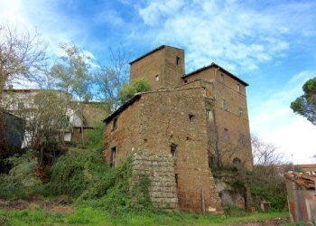 Foto 4 - Rustico VIA VALLE CALANDRELLA, Vetralla - foto 4