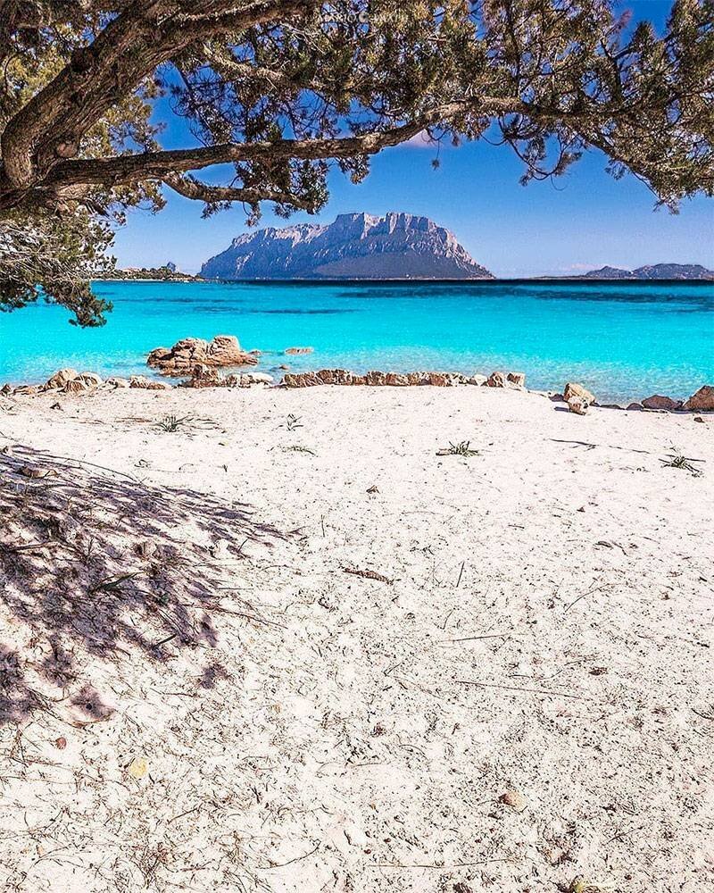 Foto 1 - Four-room apartment Porto Istana, Olbia - photo 1