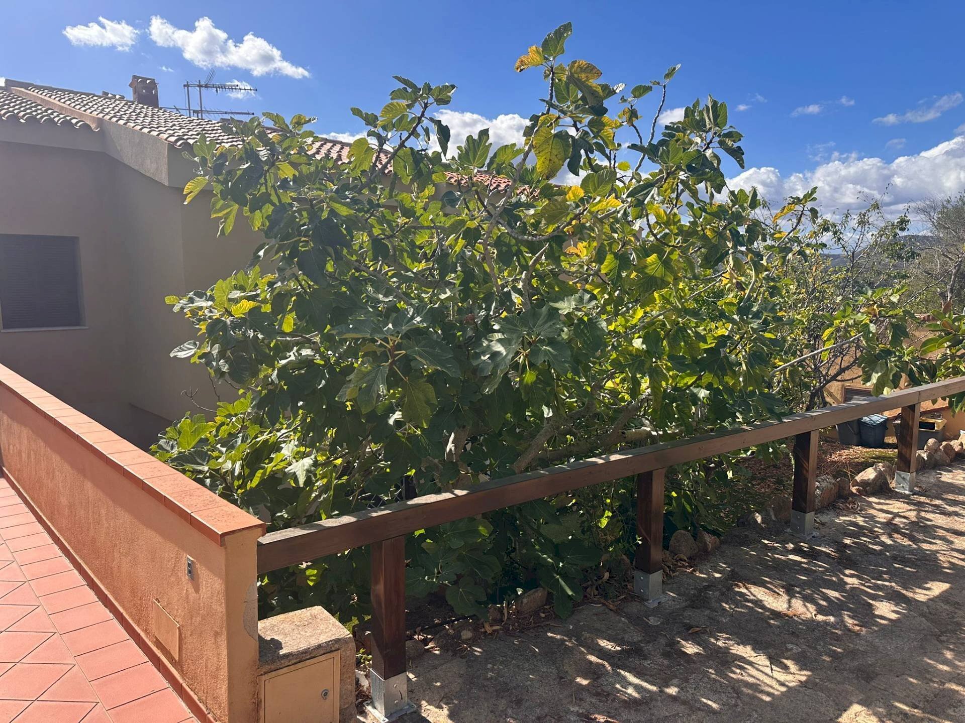 Foto 3 - Four-room apartment Porto Istana, Olbia - photo 3