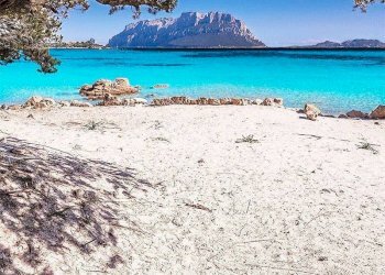 Foto 1 - Quadrilocale Porto Istana, Olbia - foto 1