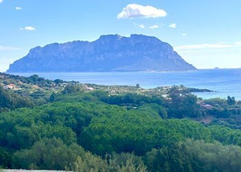 Foto 16 - Quadrilocale Porto Istana, Olbia - foto 16