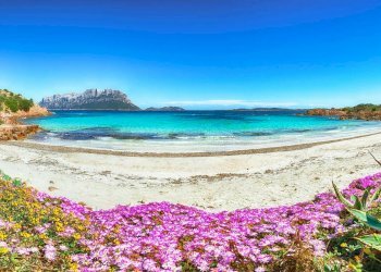 Foto 17 - Quadrilocale Porto Istana, Olbia - foto 17