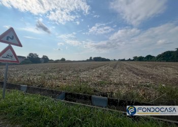 Foto 3 - Terreno agricolo palazzolo sull'oglio, Palazzolo sull'Oglio - foto 3
