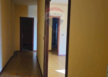 Hall / corridoio - Trilocale Aloisio Juvara
 
143, Palermo - foto 8