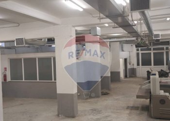 Non correlato - Laboratorio pietro di noto
 
21, Termini Imerese - foto 1