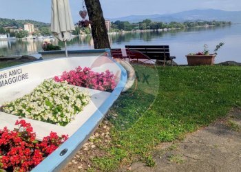 Giardino - Terraced Villa Castelletto Sopra Ticino - photo 25