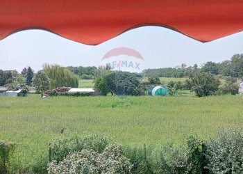 Giardino - Casa indipendente Vaprio d'Agogna - foto 5