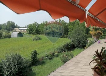 Giardino - Casa indipendente Vaprio d'Agogna - foto 6