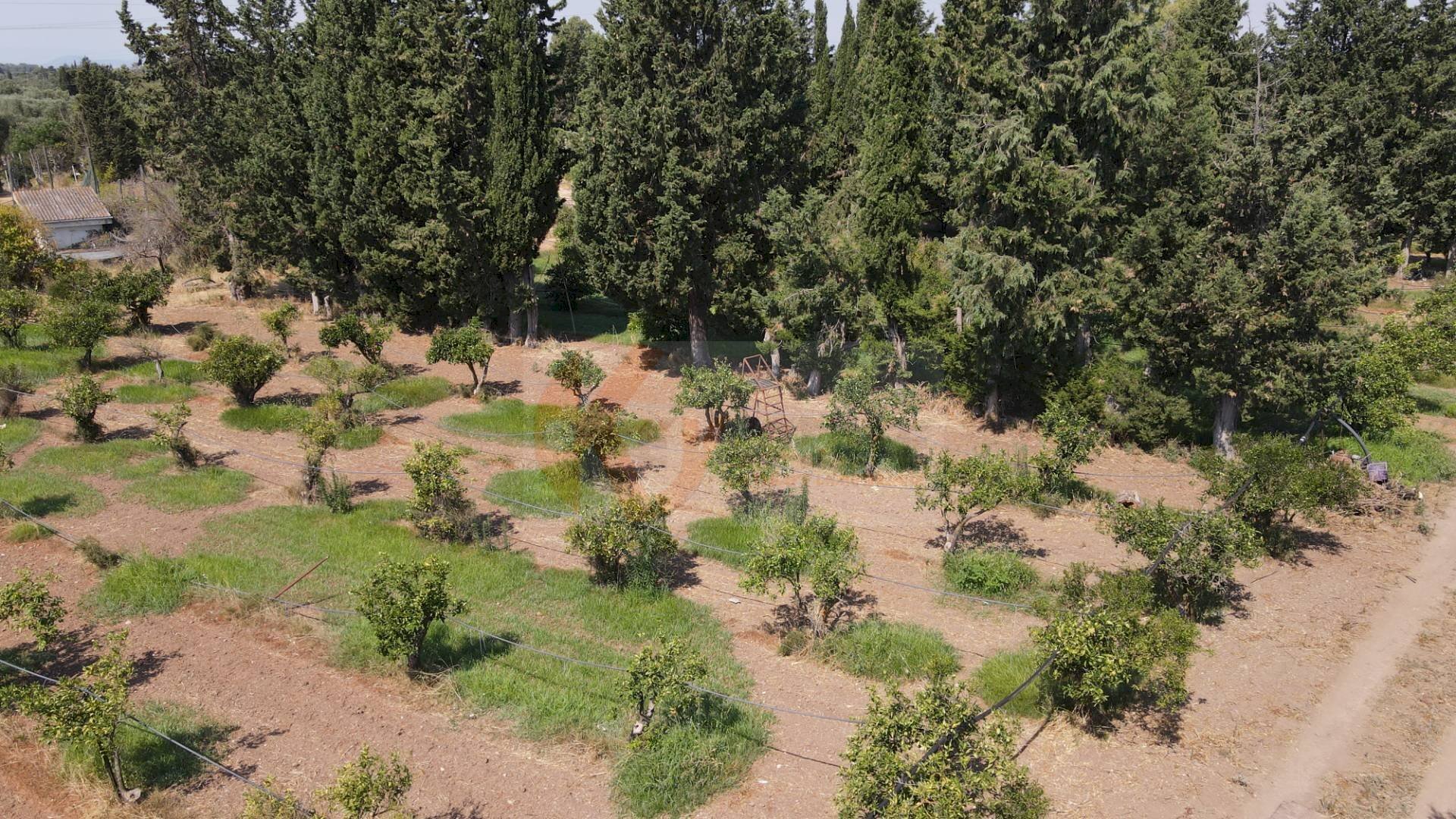 Foto 3 - Agricultural land Bia Sa Laccana
snc, San Sperate - photo 3