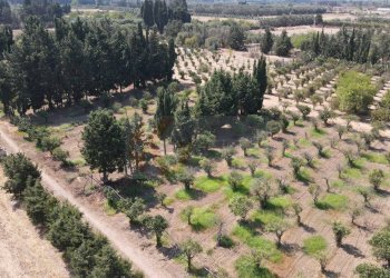 Foto 1 - Terreno agricolo Bia Sa Laccana
 
snc, San Sperate - foto 1