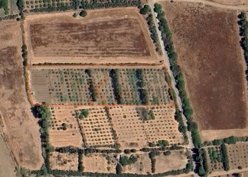 Foto 6 - Terreno agricolo Bia Sa Laccana
 
snc, San Sperate - foto 6