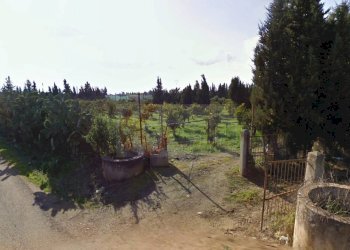 Foto 7 - Terreno agricolo Bia Sa Laccana
 
snc, San Sperate - foto 7