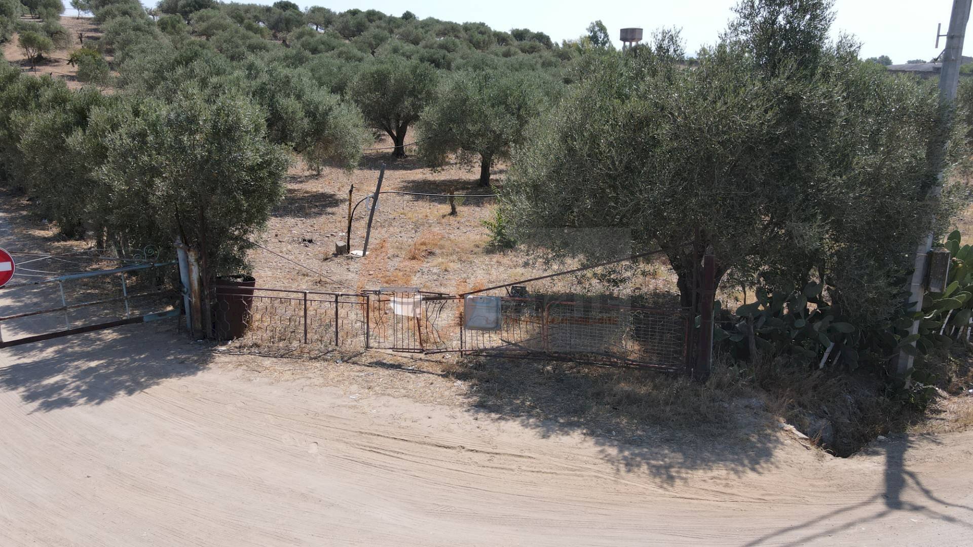 Foto 3 - Terreno agricolo ss 128
 
snc, Monastir - foto 3