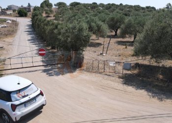 Foto 2 - Terreno agricolo ss 128
 
snc, Monastir - foto 2