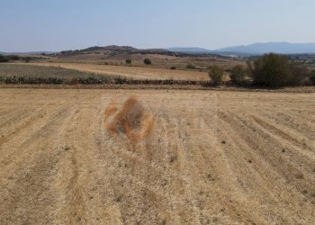 Foto 10 - Terreno agricolo ss 128
 
snc, Monastir - foto 10