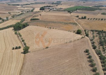 Foto 1 - Terreno agricolo ss 128
 
snc, Monastir - foto 1