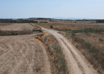 Foto 3 - Terreno agricolo ss 128
 
snc, Monastir - foto 3