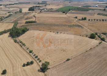 Foto 4 - Terreno agricolo ss 128
 
snc, Monastir - foto 4