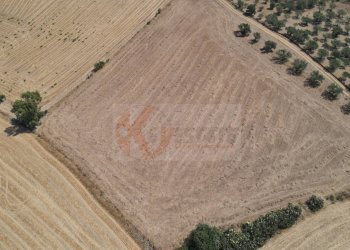 Foto 5 - Terreno agricolo ss 128
 
snc, Monastir - foto 5