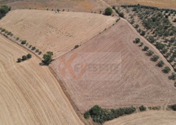 Foto 6 - Terreno agricolo ss 128
 
snc, Monastir - foto 6