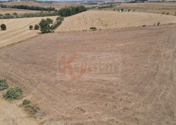 Foto 8 - Terreno agricolo ss 128
 
snc, Monastir - foto 8