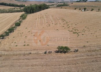 Foto 10 - Terreno agricolo ss 128
 
snc, Monastir - foto 10