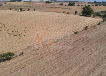 Foto 11 - Terreno agricolo ss 128
 
snc, Monastir - foto 11