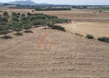 Foto 12 - Terreno agricolo ss 128
 
snc, Monastir - foto 12