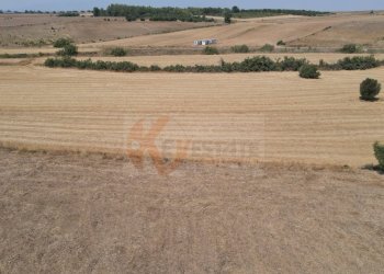 Foto 14 - Terreno agricolo ss 128
 
snc, Monastir - foto 14