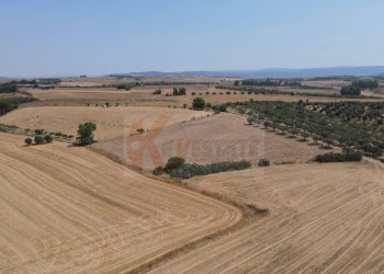 Foto 15 - Terreno agricolo ss 128
 
snc, Monastir - foto 15