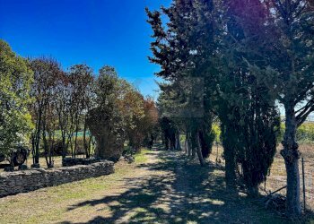 Foto 14 - Villa Località Su Campu
 
snc, Bonnanaro - foto 14