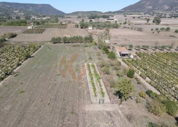 Foto 15 - Villa Località Su Campu
 
snc, Bonnanaro - foto 15