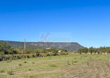 Foto 17 - Villa Località Su Campu
 
snc, Bonnanaro - foto 17