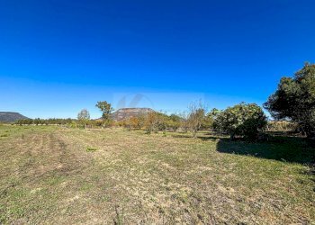 Foto 19 - Villa Località Su Campu
 
snc, Bonnanaro - foto 19