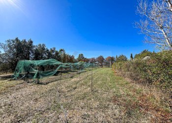 Foto 23 - Villa Località Su Campu
 
snc, Bonnanaro - foto 23