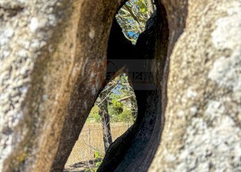 Foto 35 - Villa Località Su Campu
 
snc, Bonnanaro - foto 35