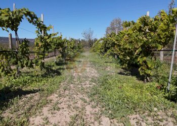 Foto 40 - Villa Località Su Campu
 
snc, Bonnanaro - foto 40