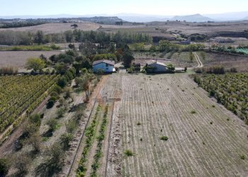 Foto 42 - Villa Località Su Campu
 
snc, Bonnanaro - foto 42