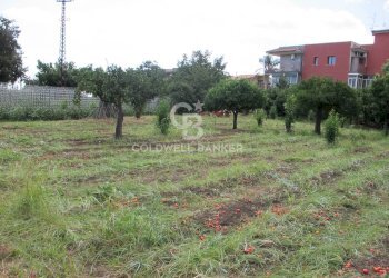 Foto 9 - Terreno edificabile Via Badalà
 
31, Fiumefreddo di Sicilia - foto 9