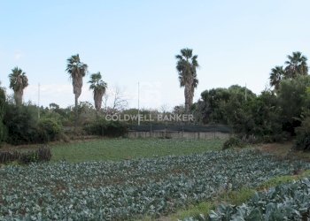 Foto 16 - Terreno edificabile Via Badalà
 
31, Fiumefreddo di Sicilia - foto 16