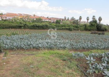 Foto 17 - Terreno edificabile Via Badalà
 
31, Fiumefreddo di Sicilia - foto 17