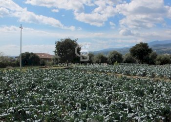 Foto 30 - Terreno edificabile Via Badalà
 
31, Fiumefreddo di Sicilia - foto 30