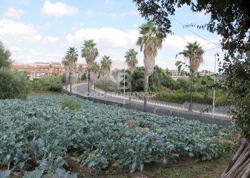 Foto 3 - Terreno edificabile via Badalà
 
31, Fiumefreddo di Sicilia - foto 3