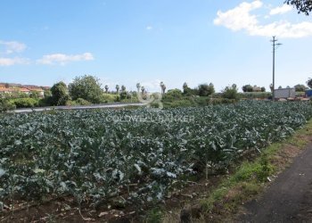 Foto 4 - Terreno edificabile via Badalà
 
31, Fiumefreddo di Sicilia - foto 4